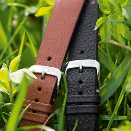 Afbeelding bio horlogeband